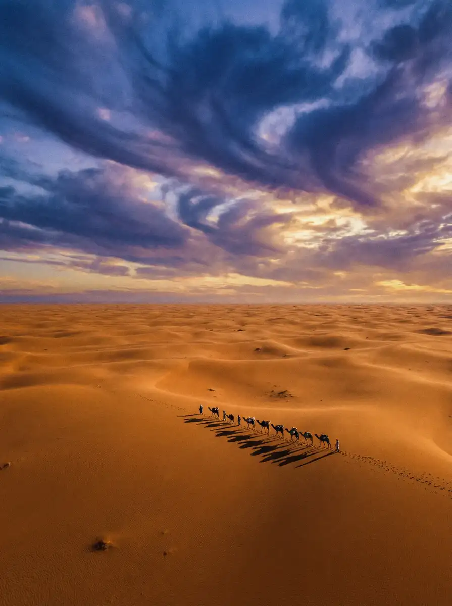 纪录片《丝路回响》 - 四虎传媒 项目